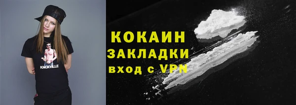 ПСИЛОЦИБИНОВЫЕ ГРИБЫ Няндома
